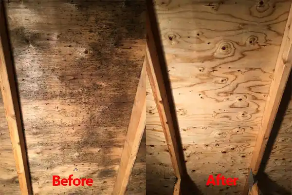 water damage restoration service Mackinac Island
